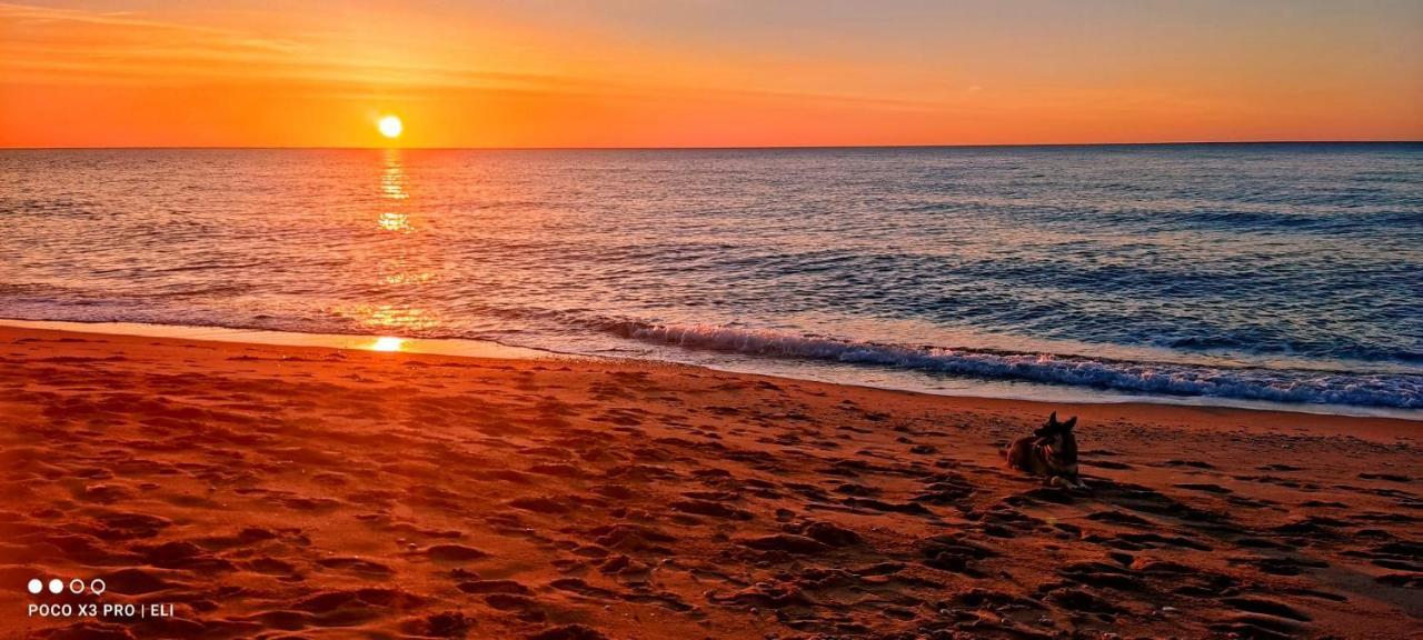 Encantador Apto En La Playa Coma-ruga Zewnętrze zdjęcie